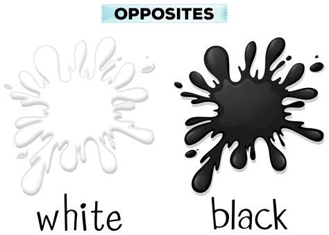 Opposite Colors For White And Black 292494 Vector Art At Vecteezy