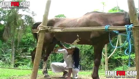 Perfect Horse Cock Sucking Xxx Scenes With A Slutty Amateur Babe In