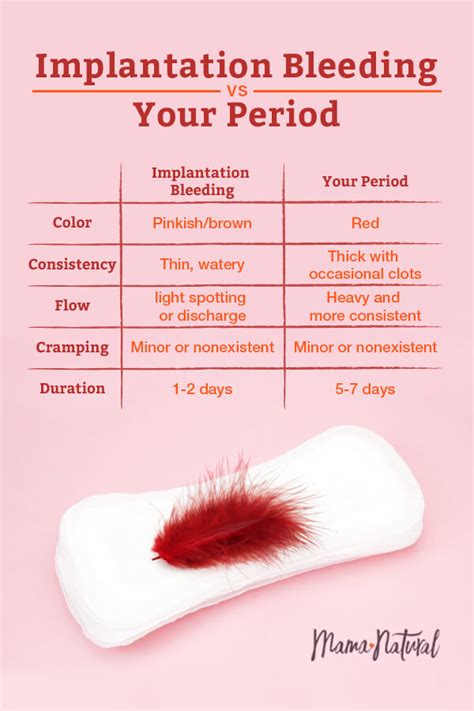 What Is Implantation Bleeding Photograph By Finda Topdoc Images And