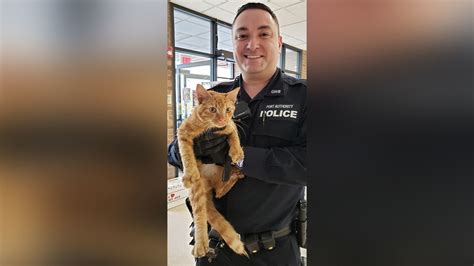 Officers Rescue Stray Cat On Scaffolding Between Levels Of George