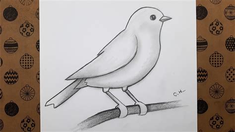 Kuş Nasıl Çizilir Karakalem Kolay Kuş Resmi Çizimi Adım Adım Nasıl