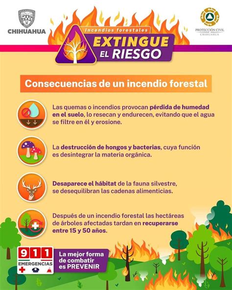 Lleva Protección Civil Estatal Apoyos A Combatientes De Incendios Forestales En La Zona Serrana