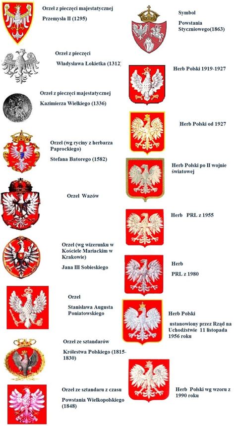 Godło Polski Make Sure That Eagle Is Always Facing The Correct