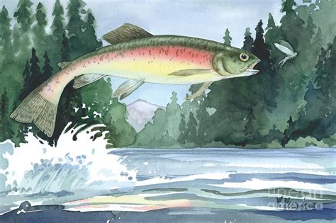 Rainbow Trout Painting By Paul Brent
