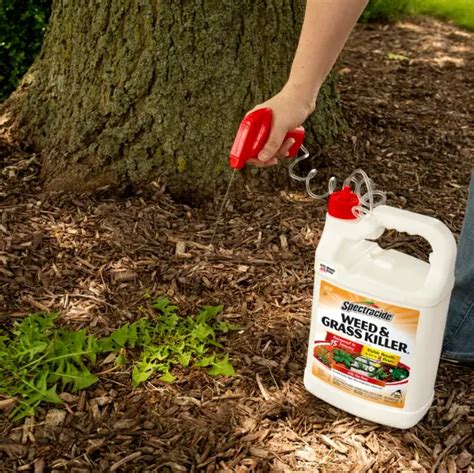 SPECTRACIDE WEED Grass Killer Ready To Use Gallon With Free Shipping PicClick