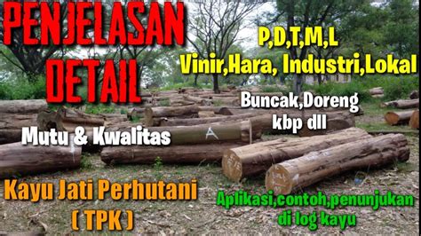 Penjelasan Detail Aplikasi Kayu Mutu Kwalitas P D T M L Lokal Ind Hara