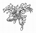 Carnage From Spiderman - Free Coloring Pages
