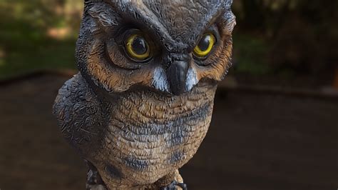 owl 3d hot sex picture