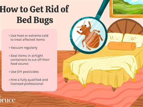 Most Effective Diy Bed Bug Treatment Pest Phobia