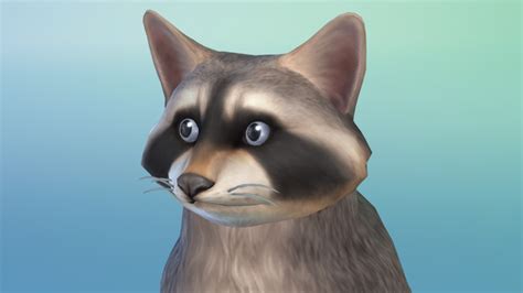 I Bred Raccoons And Cats In The Sims 4 To Create The Cutest Animal Ever