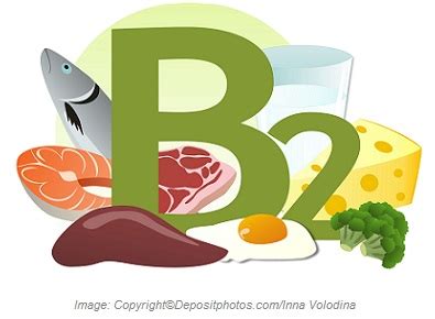 These sources are more plentiful, and fat is a much more efficient. Vitamin B2 (Riboflavin)