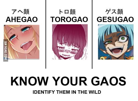 Know Your Gaos 9GAG