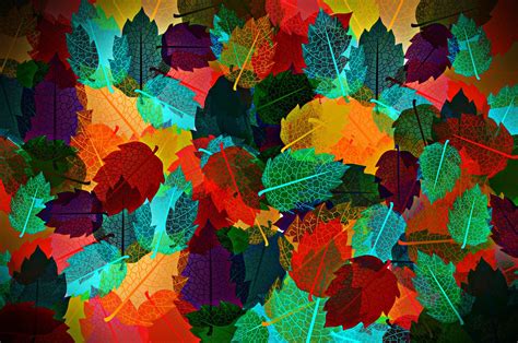 Abstract Autumn Leaves Hd Wallpapers Wallpaper Cave