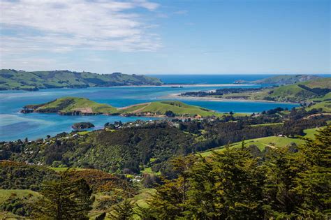 10 Things That Surprised Me In Dunedin Young Adventuress