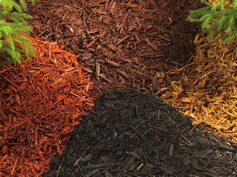 What Is The Best Mulch For Vegetable Garden