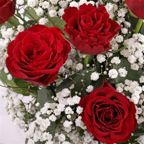 Dozen Red Roses And Gypsophila Bouquet