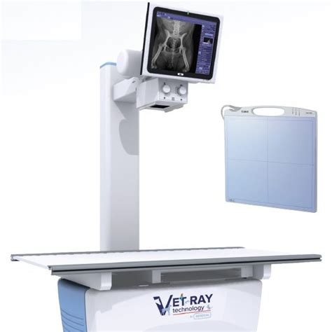 Vetray Stationary Table Vet X Ray Dicom Solutions