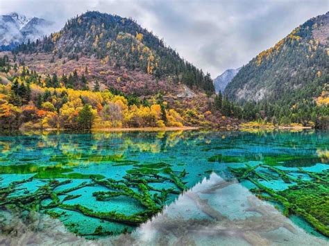 Jiuzhaigou Park China Five Flower Lake Unesco World Heritage Site