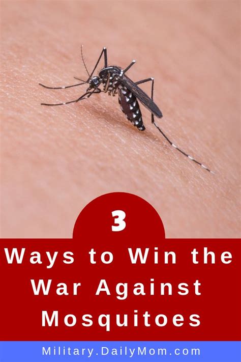 3 Ways To Win The War Against Mosquito Bites Daily Mom Military