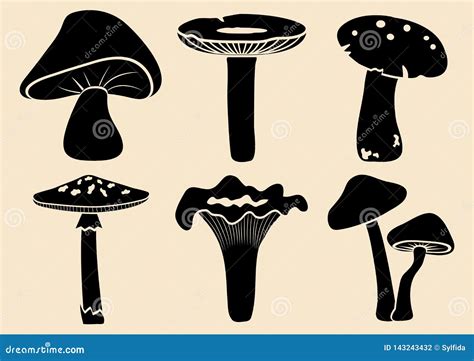 Set Of Different Mushrooms Vector Illustration Stock Illustration