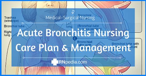 Acute Bronchitis Nursing Care Plan Management RNpedia