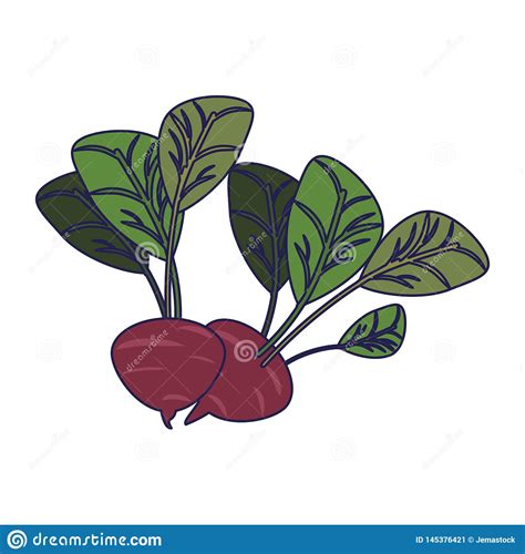 Radishes Vegetables Food Cartoon Blue Lines Stock Vector Illustration
