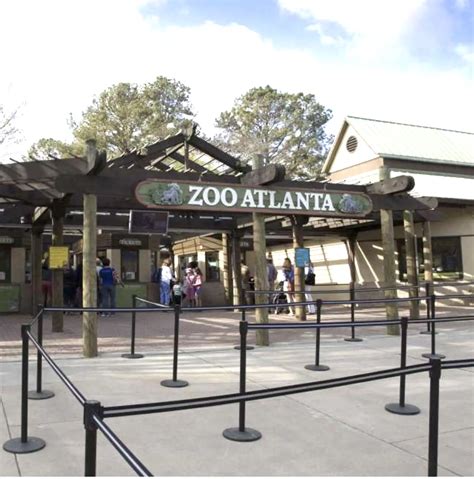 Zoo Atlanta Reopening May 16 With Timed Ticketing One Way Pathway