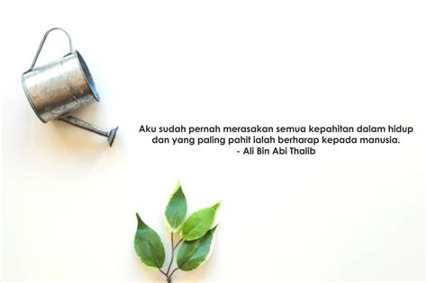 Tetapi pada akhirnya dianggap sebagai buah pikiran, bukan khayalan. Kata Kata Mutiara Islam Ali bin Abi Thalib - Penikmat Rindu