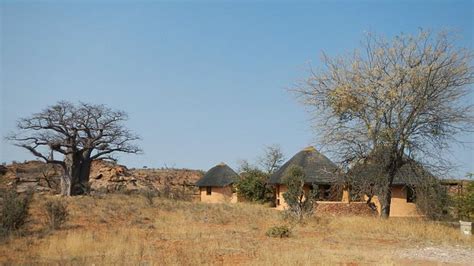 Leokwe Camp Mapungubwe National Park África Do Sul 202 Fotos E