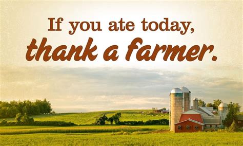 National Farmers Day Wishes Messages And Quotes