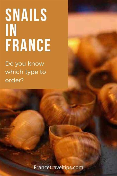 Eating Snails In France Do You Know Which Type To Order France