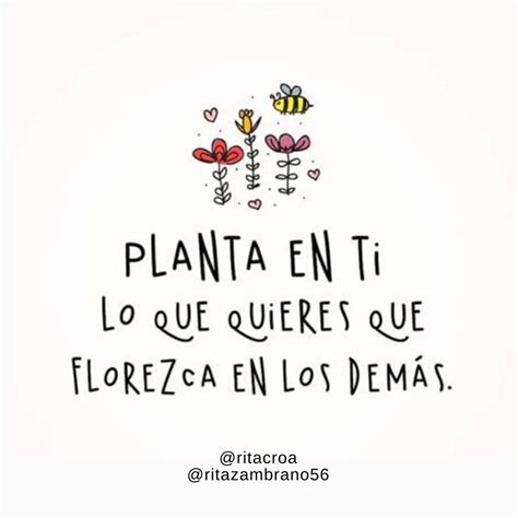 Planta En Ti Lo Que Quieres Que Florezca En Los Demas Búsqueda De