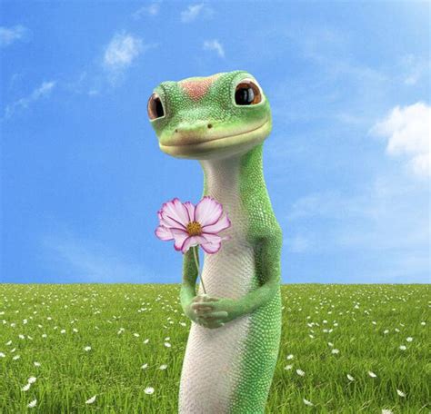 The Geico Gecko On Twitter Lizard Meme Geico Lizard Gecko