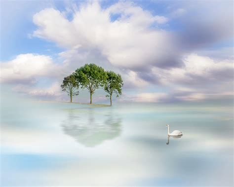 Peace And Tranquility Photograph By Mike Neale