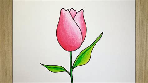Cara Menggambar Bunga Tulip Yang Mudah Youtube