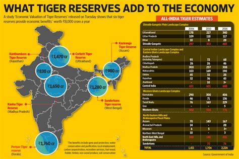 Indias Tiger Population Rises 30 Since 2010 To 2226