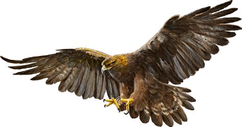 Golden Eagles Png Logo Transparent Background Eagle Logo Png Clipart