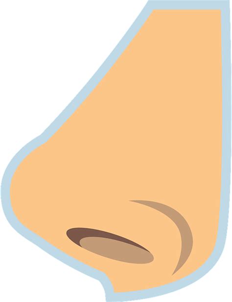 Free Cute Nose Cliparts Download Free Cute Nose Cliparts Png Images