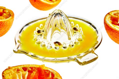 Orange Halves And Glass Juicer Stock Image F0171909 Science