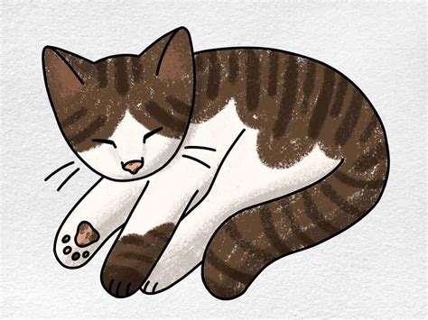 Cat Lying Down Drawing