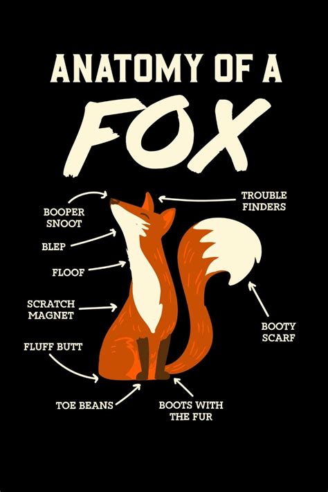 Fox Anatomy Anatomy Book