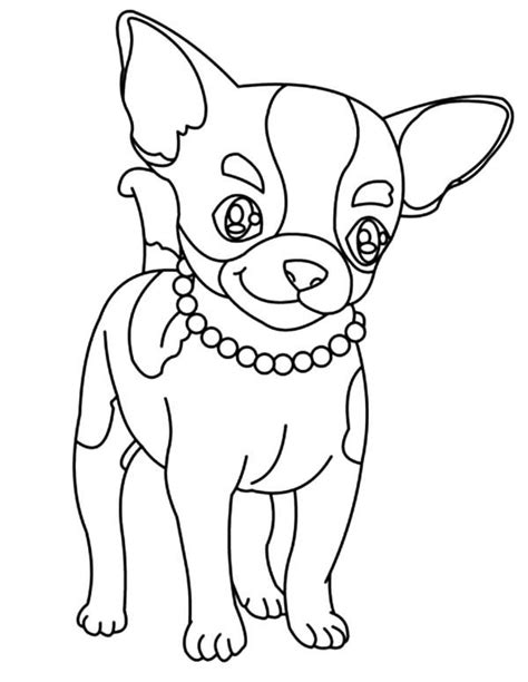 All animal coloring pages including this poodle coloring page can be downloaded and printed. Chihuahua Coloring Pages - Best Coloring Pages For Kids