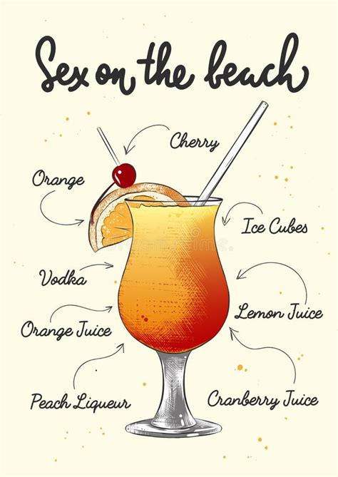 Vector Engraved Style Sex On The Beach Cocktail Illustration For