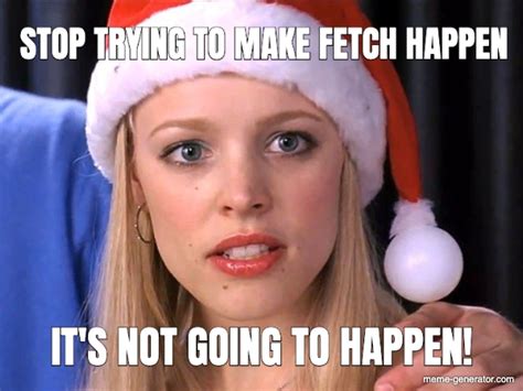 Stop Trying To Make Fetch Happen It S Not Going To Happe Meme Generator