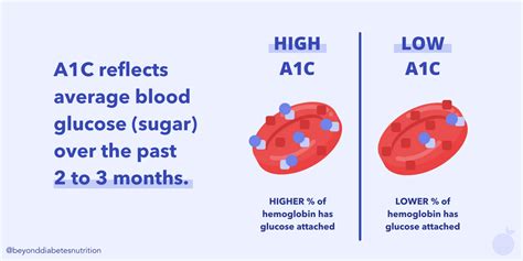 Back To Basics What Is Hemoglobin A1c Hba1c Beyond Diabetes