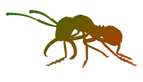 Ants Clip Art Transparent Png Png Play