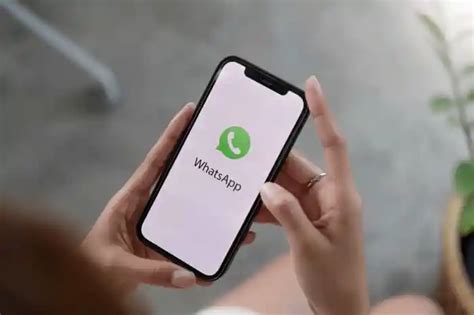 5 Aplikasi Whatsapp Blast Terbaik 2023 Cocok Buat Bisnis Berita Riau