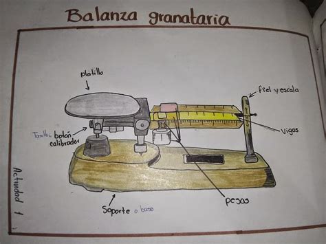 Manual de instrucciones por favor lea este manual antes de ensamblar y usar su balanza de triple brazo de ohaus. Angeles Sapien Vitae: USO DE LA BALANZA GRANATARIA