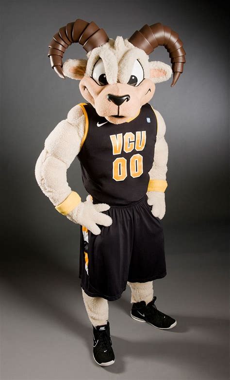 Virginia Commonwealth University Rodney The Ram Vcu Mascot Virginia