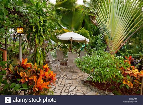 The Tropical Gardens At The Lazy Parrot Hotel In Rincon